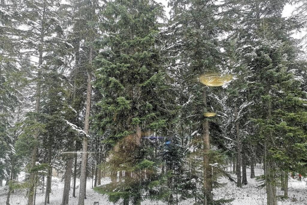 Studio Iceberg Borovets Студио с кухня Buitenkant foto
