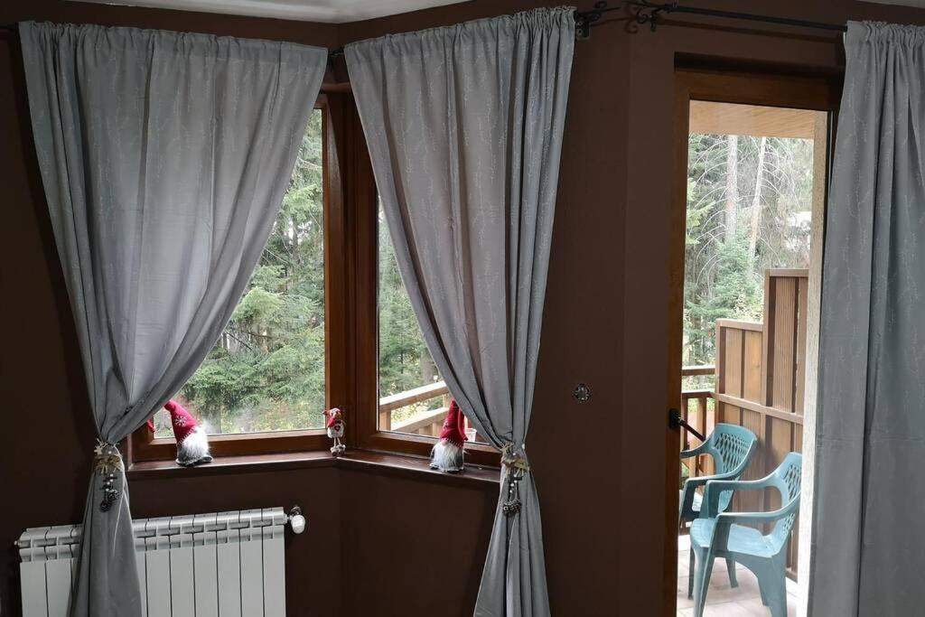 Studio Iceberg Borovets Студио с кухня Buitenkant foto
