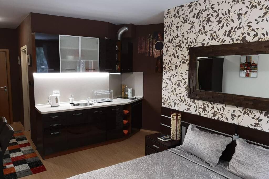 Studio Iceberg Borovets Студио с кухня Buitenkant foto