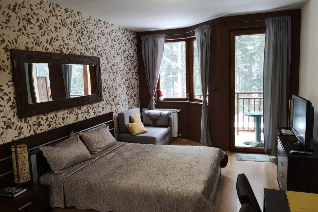 Studio Iceberg Borovets Студио с кухня Buitenkant foto