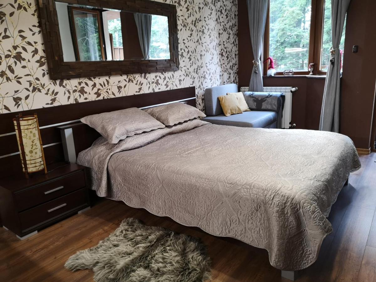 Studio Iceberg Borovets Студио с кухня Buitenkant foto