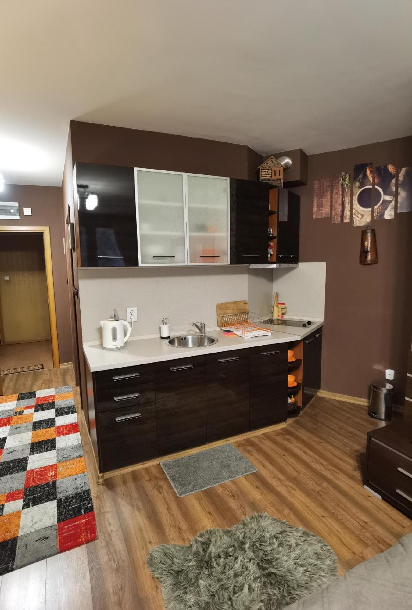 Studio Iceberg Borovets Студио с кухня Buitenkant foto